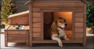 Où préfères-tu vivre ?