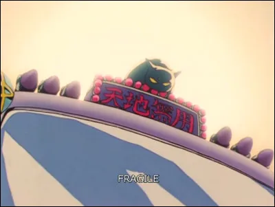 Qui est ce gros chat ?