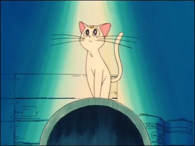 Comment s'appelle le chat de Sailor Vénus ?