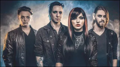 Quel est votre groupe préféré ? (5)