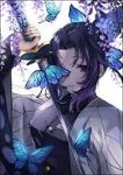 Es-tu pourfendeuse ?