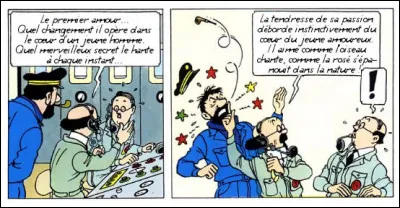 Qui mieux que Tournesol pour exalter les amours naissantes ?