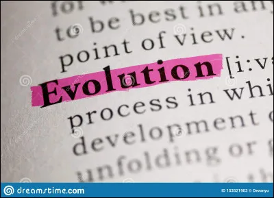 De quel type de document s'agit-il ?