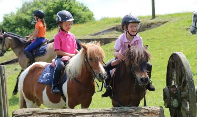 Comment s'appelle cette discipline ?