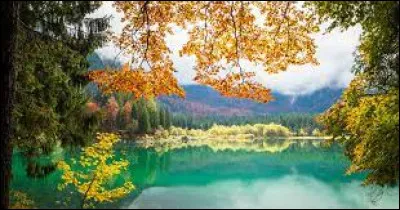 Ils se ... baladés dans la nature.