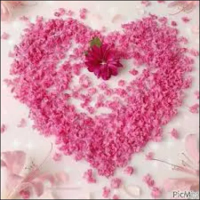 Quelle couleur de la rose symbolise l'amour ?