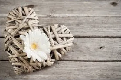 Sur quelle chaîne est diffusée l'émission de télé-réalité "Les princes et les princesses de l'amour" ?