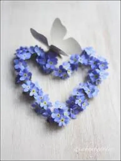 Quelle est marque du parfum "Amor Amor" au flacon rouge ?