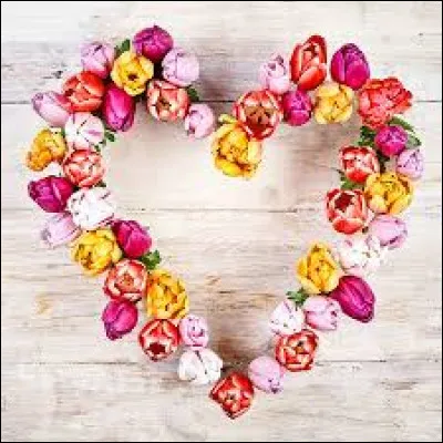 Quels animaux sont la Belle et le Clochard, couple mythique de Disney ?