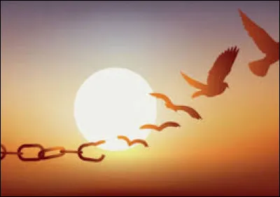 À quoi doit-on cette citation : "Les seules limites quune liberté rencontre, elle les trouve dans la liberté" ?