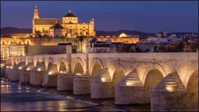 Dans quel pays Córdoba n'est pas une ville existante ?