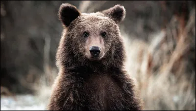 Quels sont tes défauts ?