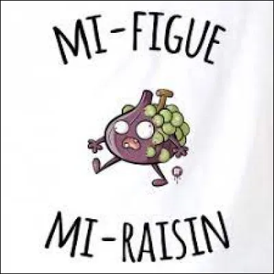 Quel est ton genre ?