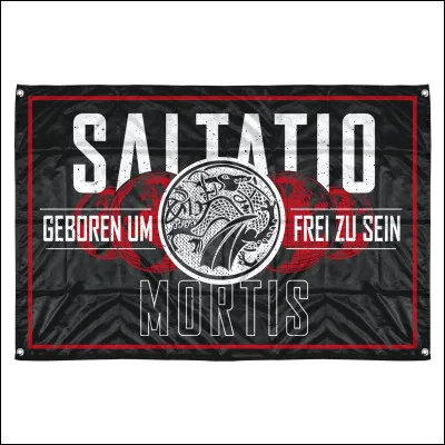 Complétez : 
"Schattten, mein Bruder ist der..."