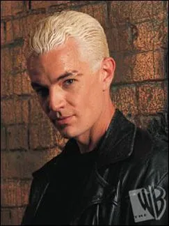 Comment a-t-il eu sa cicatrice  l'arcade sourcilire gauche ?