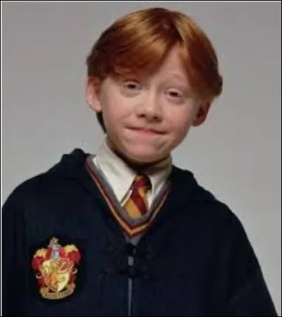 Combien de frères à Ronald Weasley ?