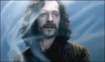 Qui a tué Sirius Black ?