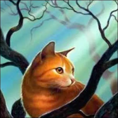 Quelle est ta proie préférée ?