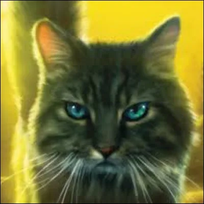 Quel est ton élément ?