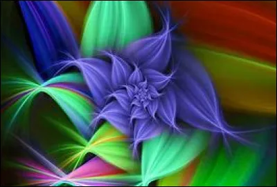 Quelle est la couleur de la fleur ?