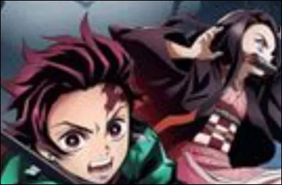 Dans cet animé, il y a des pourfendeurs...