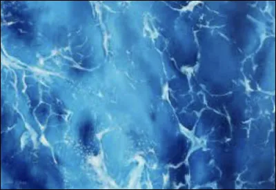 Où préfères-tu vivre ?