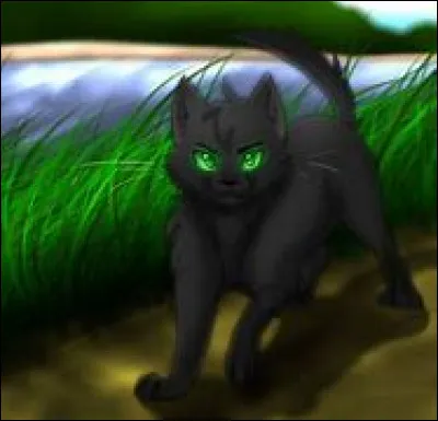 Ton apprenti finit finalement son apprentissage et devient guerrier.