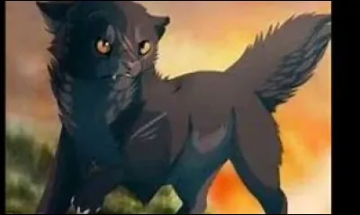 Tu n'arrives pas à former les bonnes patrouilles.