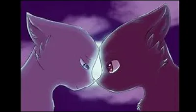 Tu tombes amoureux/amoureuse d'un(e) camarade. Comment réagis-tu ?