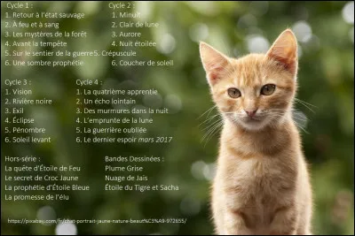 Finalement, tu as eu des chatons. Comment s'appelle le début de leurs prénoms ?