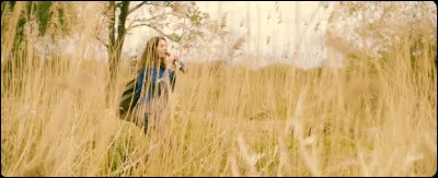 Complétez : 
"Große Träume, gerne denke ich..."