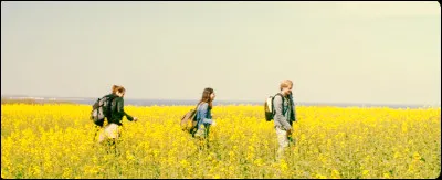 Complétez : 
"An die unbeschwerten Jahre..."