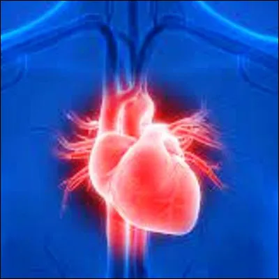 Quelle partie du c�ur propulse du sang dans le corps par l�aorte ?