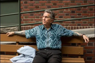 Dans quel domaine Don Ed Hardy est-il artiste post-moderne ?