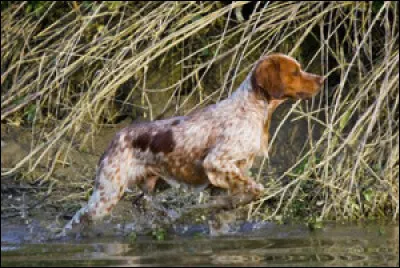 Cherche, cherche, et peut-être que toi aussi ... Tu Trouveras !