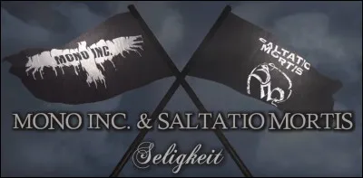 Complétez : 
"Ich gehe nicht..."