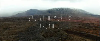 Complétez : 
"Sie schworen sich..."