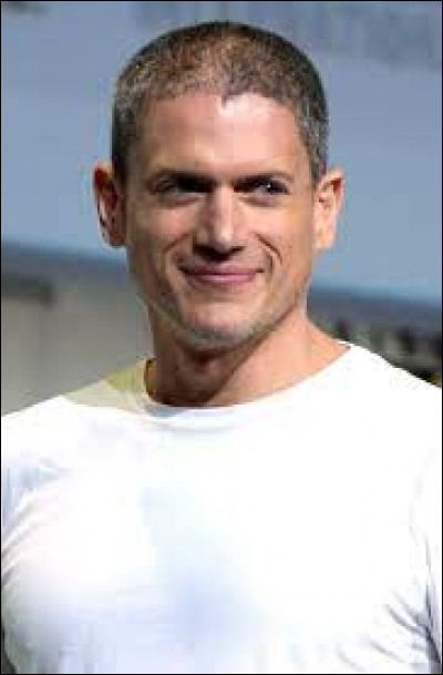 Quel acteur joue le rôle de "Michael Scofield" dans la série "Prison Break" ?