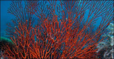 Ta couleur est-elle sur cette image ?