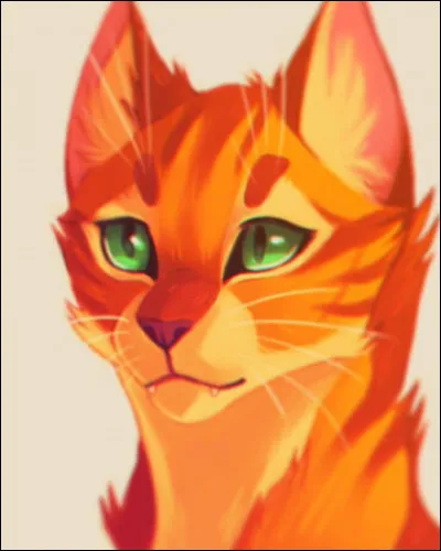 Ta couleur est-elle sur cette image ?