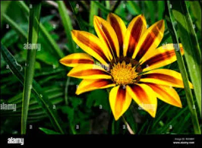 Ta couleur est-elle sur cette image ?