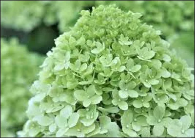 Ta couleur est-elle sur cette image ?