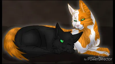 De qui Feuille de Houx tombe-t-elle amoureuse dans les souterrains ?