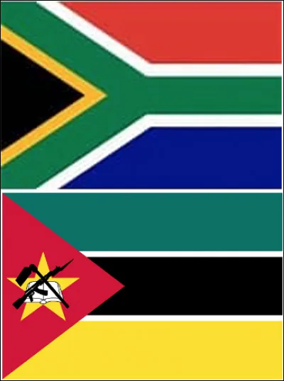 Le drapeau de l'Afrique du Sud a-t-il plus ou moins de couleurs que celui du Mozambique ?