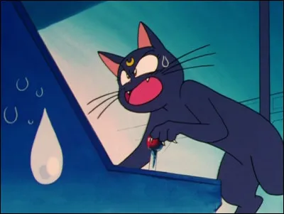 Qui était le messager de la Lune qui communiquait avec Luna depuis le début ?