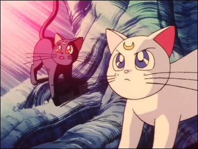 Qui est finalement la princesse que les guerrières devaient retrouver dès le début ?