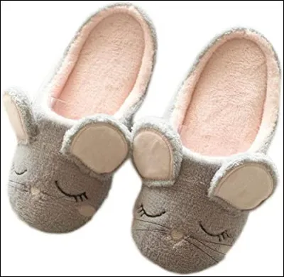 Quel est le type de chaussures ?