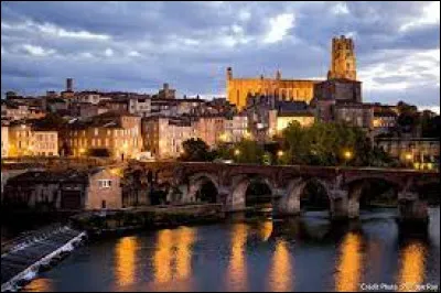 La ville d'Albi en est la préfecture.