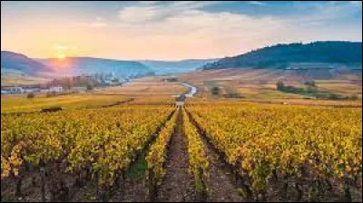 Sa préfecture est Dijon.