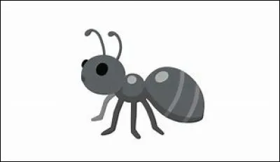 Et pour finir la plus dure...